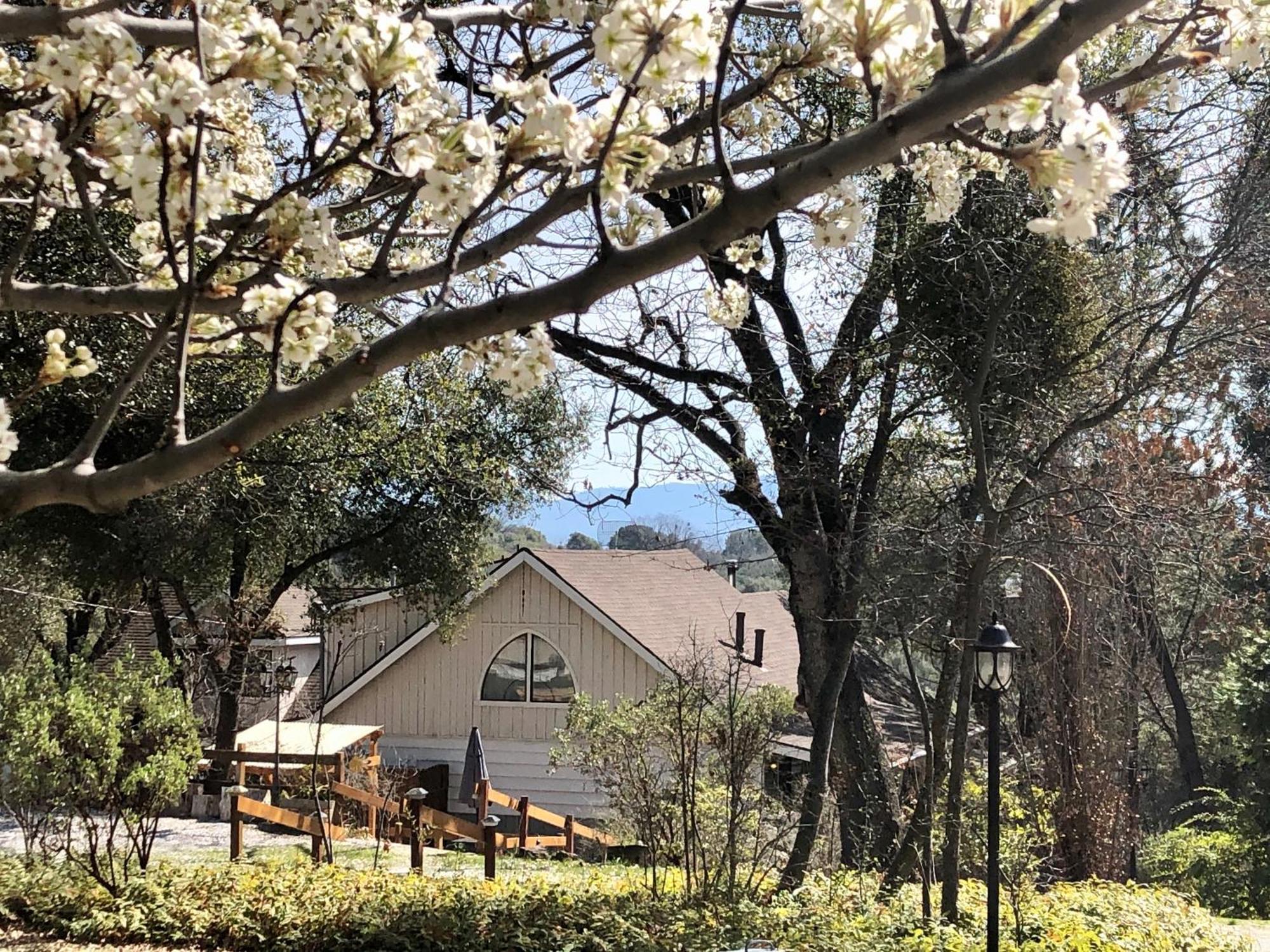 Sierra Mountain Lodge - Vacation Rentals - Yosemite أهواهني المظهر الخارجي الصورة